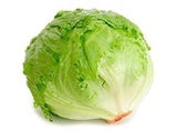 Fresh Lettuce Iceberg ea
