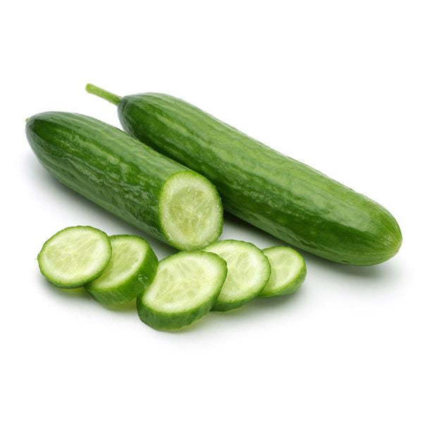 Fresh Cucumber Continental