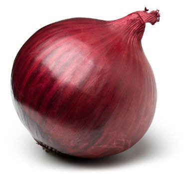 Fresh Onion Red each