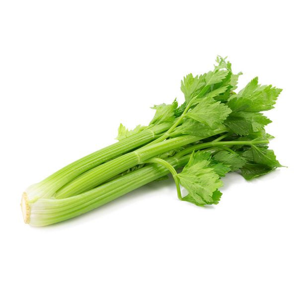 Fresh Celery Bunch ea