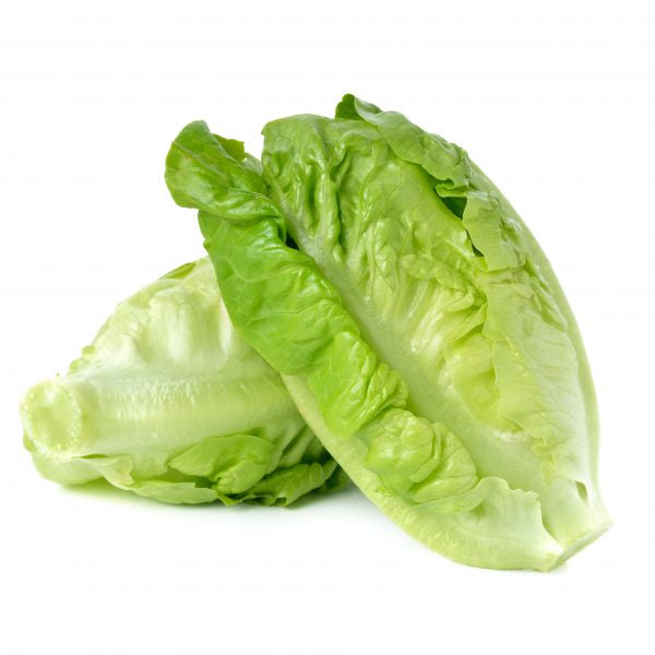 Fresh Lettuce Baby Cos Twin Pack