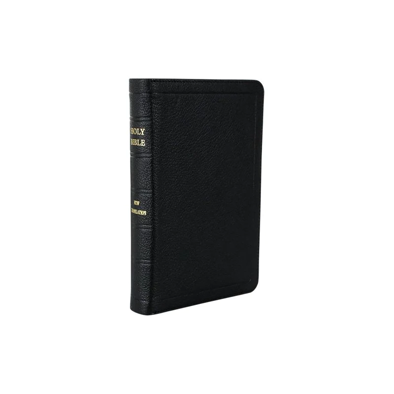 Bible with Zip 2022 Edition Medium No 17