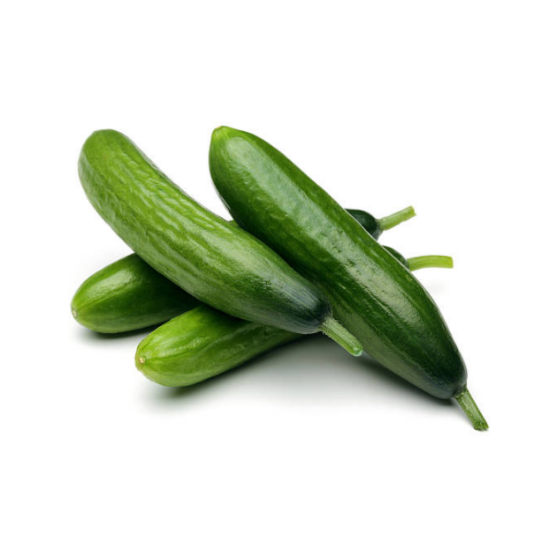 Fresh Cucumber Lebanese
