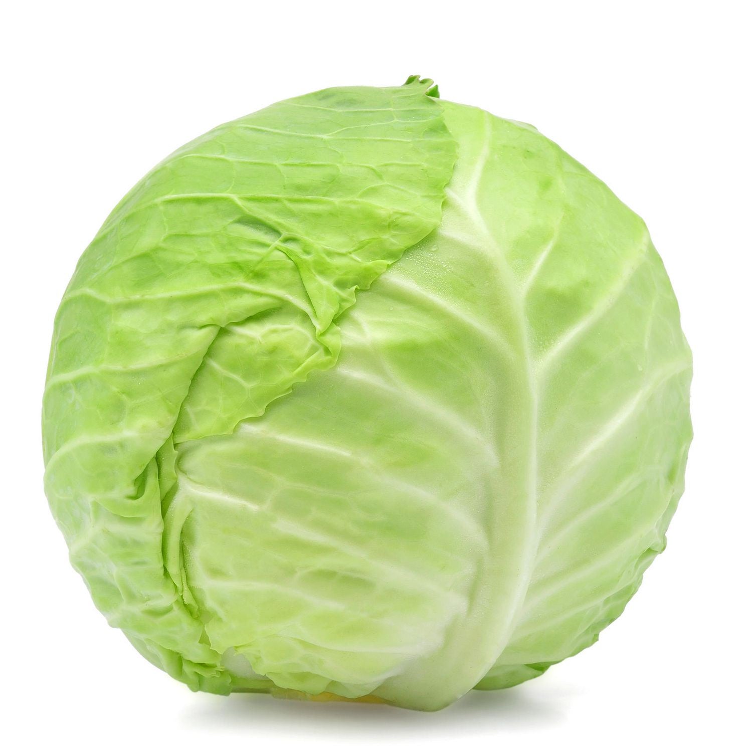 Fresh Cabbage Green Whole