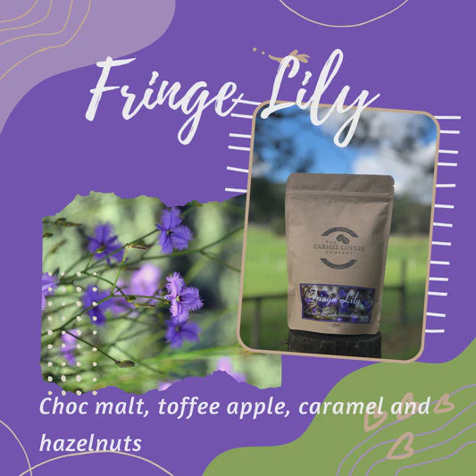 Carmel Coffee Co Fringe Lily Beans 250g