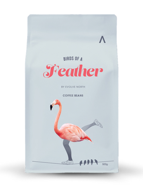 Evolve North Birds of a Feather Coffee Beans 500g