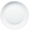 Bulk Paper Plate White 9in 500pk