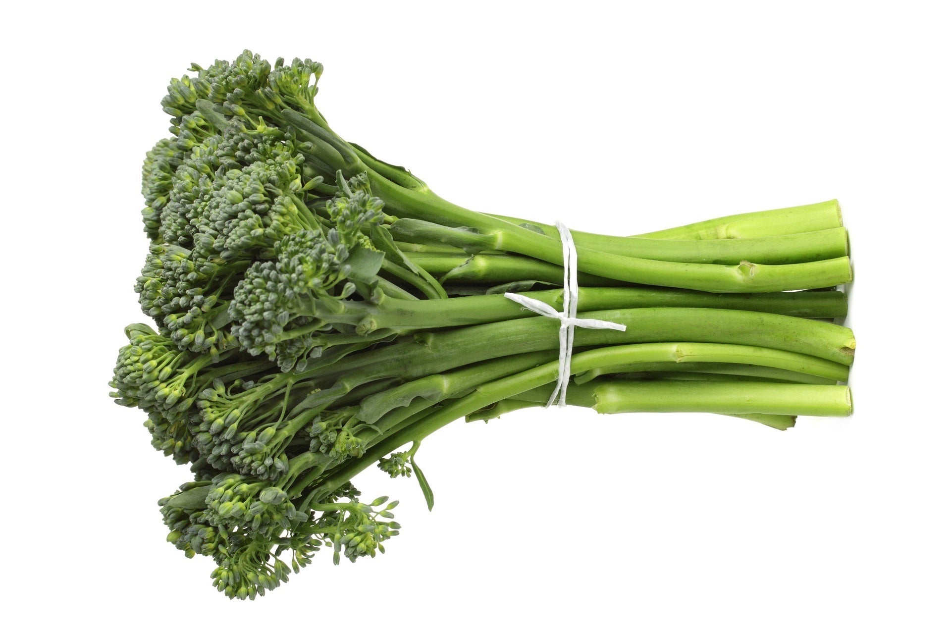 Fresh Broccolini Bunch