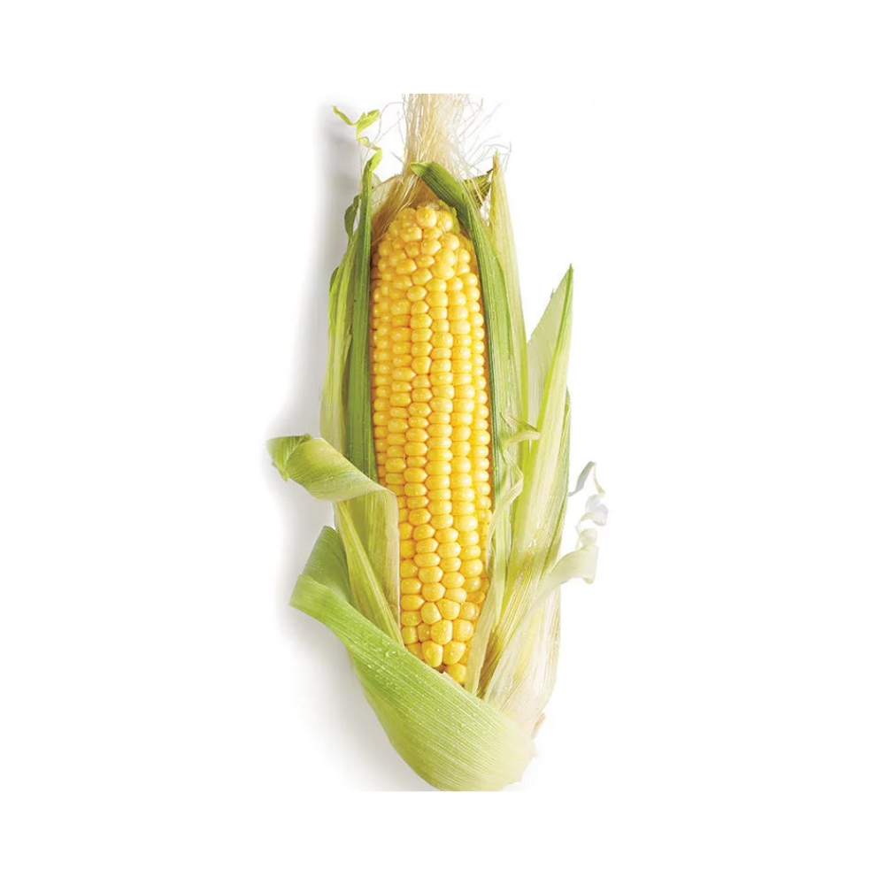 Fresh Corn Cob ea