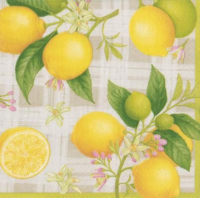 Conservatory Citron Napkins Luncheon