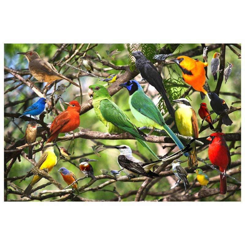 Jigsaw Puzzle 500 Piece - Birds