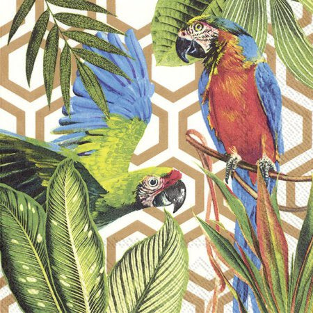 Tropical Parrots on Copper Luncheon