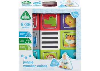 Early Learning Jungle Wonder Cube